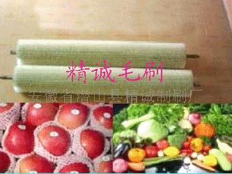 食品毛刷清洗机,食品机械毛刷辊,食品清洗机毛刷辊  食品清洗毛刷