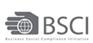 深圳BSCI认证公司，深圳BSCI认证，深圳BSCI认证咨询