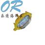 供应BFE8120 防爆应急灯 乐清海洋王