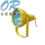 供应BTC8210 防爆投光灯 乐清海洋王