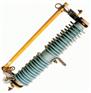 PRWG1-10、PRWG2-35单柱式熔断器