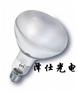 OSRAM欧司朗300W 230V,E27紫外线固化灯泡