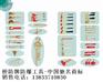 供应防爆工具，防磁工具，钢制特种工具