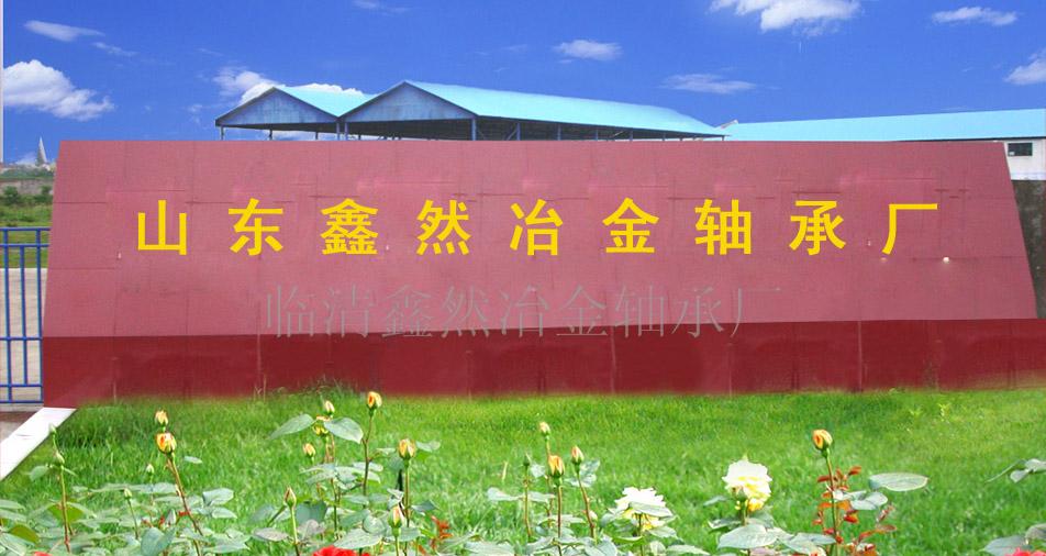 临清市鑫然轴承有限公司