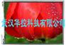 供应三洋 8.0