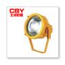CBTC8200防爆投光灯