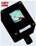 CBYB8060系列防爆防腐电表