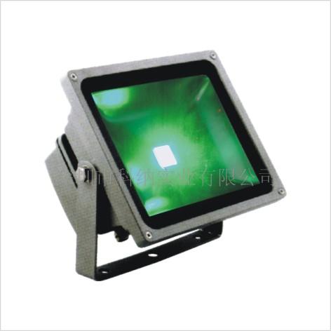 LED泛光灯10W-60W  大功率泛光灯  LED光源灯具