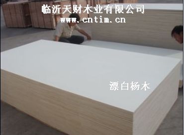 临沂天财木业有限公司