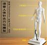智能语音人体穴位模型