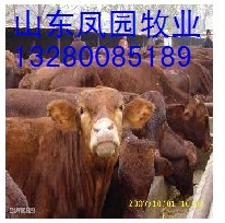 梁山县建成养殖场