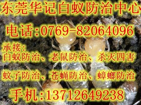 东莞市塘厦华记白蚁防治服务部