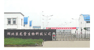 湖北巨龙香精香料有限公司