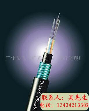 广州市辉澎信息科技有限公司