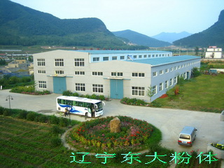 辽宁东大粉体工程技术有限公司