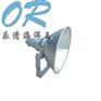 NTC9210防震型投光灯 乐清海洋王NTC9210