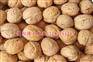高产核桃苗，良种核桃苗，矮化核桃苗，新品种核桃苗栽培管理技术