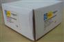 供应IC200MDL741