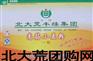供应丰缘高筋小麦粉