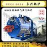全自动燃油燃气锅炉 双燃料锅炉 洗浴锅炉 浴室锅炉 采暖锅炉