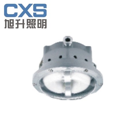 CNFC9176长寿顶灯  长寿灯