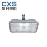 CNFC9175长寿顶灯