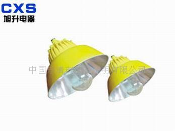 CBLC8600防爆道路灯  防爆灯