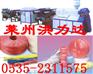 撕裂膜填充绳设备 塑料捆扎绳机械