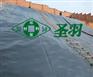 圣羽HDPE防渗土工膜 生活垃圾填埋