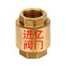黄铜立式止回阀