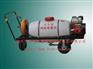 供应3WY-A3型手推式消毒喷雾器/除虫喷药射雾器