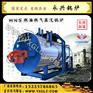 全自动燃油燃气锅炉