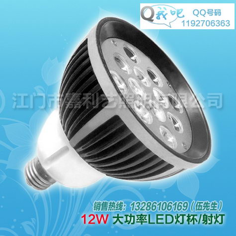 LED射灯(光效高,寿命长,E27,12W)  E27射灯  大功率射灯