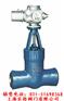 阀门 进口阀门 上海阀门 高温高压电站闸阀