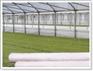 供应蔬菜大棚防虫网、蝗虫养殖网