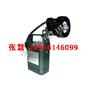 IW5120 便携式免维护强光防爆工作灯 IW5120
