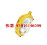 供应BFC8120 内场强光防爆灯BFC8130  防爆泛光灯
