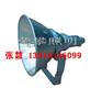 供应NTC9200 防震型投光灯NTC9210  NTC9300