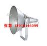 供应NTC9210 防震型投光灯NTC9300  NTC9221