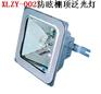 XLZY-002防眩棚顶泛光灯