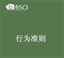 供应BSCI商业社会行为准则认证