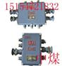 供应BHD-20/2G矿用隔爆型接线盒