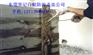 供应塘厦白蚁防治,东莞塘厦镇白蚁防治,灭杀白蚁,塘厦镇治白蚁