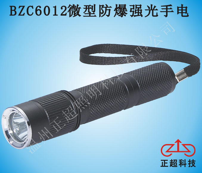 BZC6012微型防爆强光电筒  提灯  防爆灯  探照灯