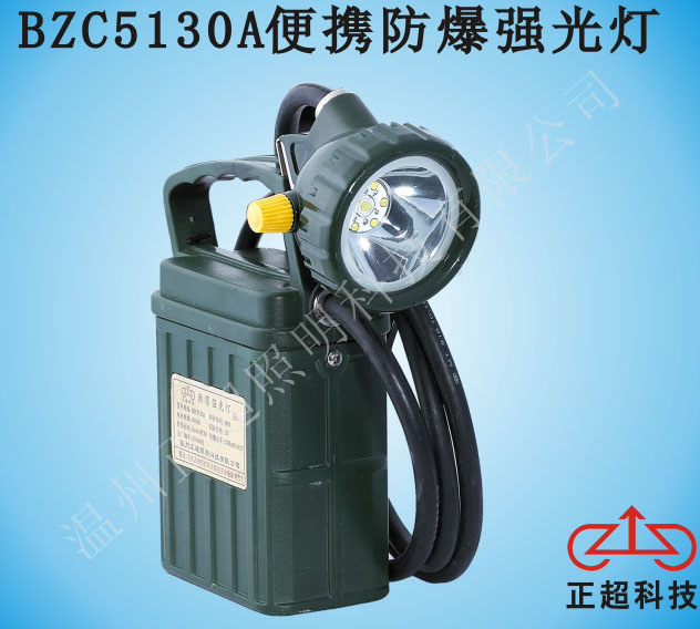 BZC5130A防爆强光灯  提灯  防爆灯  探照灯