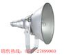 金牌电器供应NTC9200防震型投光灯
