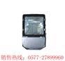 ZJJP供应NTC9230高效中功率投光灯 NTC9230