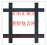 供应浙江德清高分子超密度钢塑复合格栅