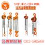 手拉葫芦王牌产品-宇雕专业制造