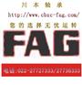 FAG进口轴承